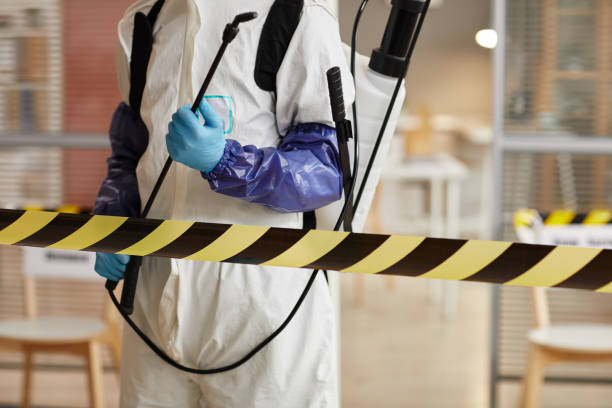 Professional Sewage Cleanup technician working in Mount Sterling, OH
